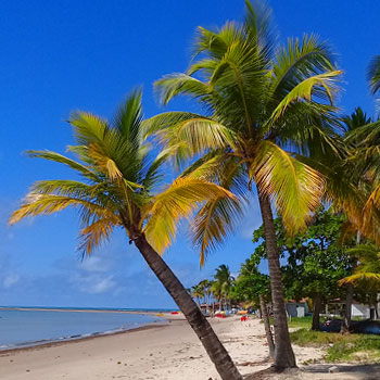 Praia Coroa Vermelha